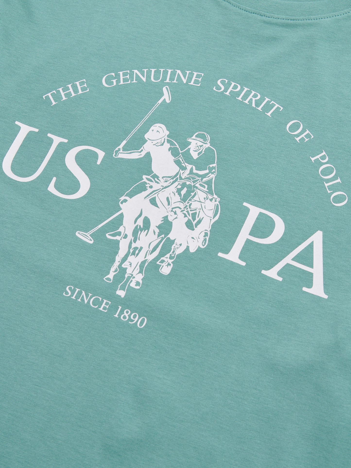 Mens USPA Print Graphic T-Shirt Arctic