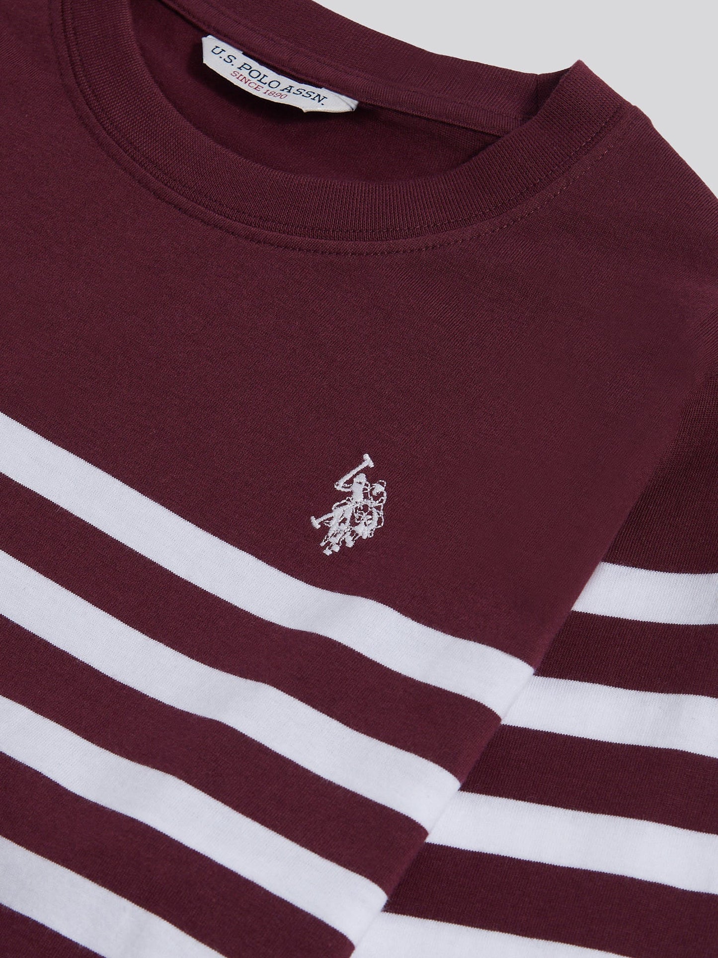 Womens Stripe Long Sleeve T-Shirt in Fig