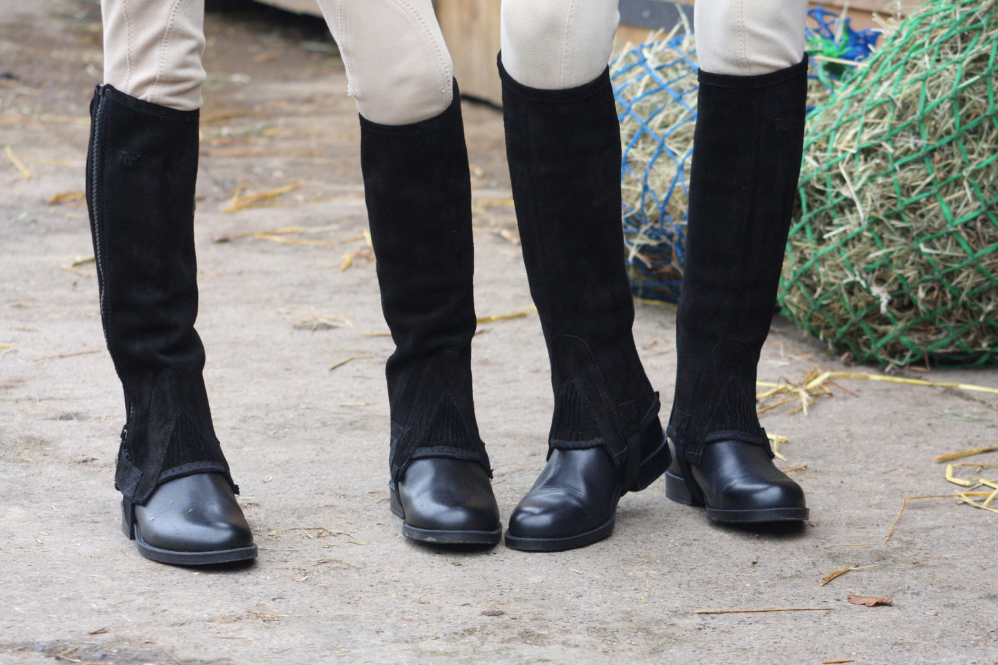 Suede Adult's Half Chaps