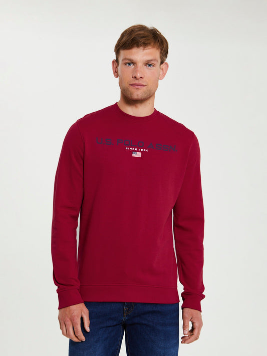 Mens Block Flag Graphic Crew Neck Sweatshirt in Biking Red